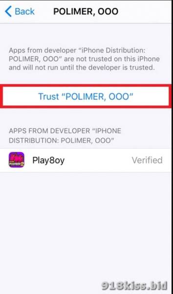 Play8oy Trust Confirmation for secure transactions