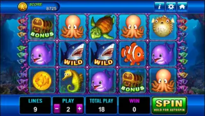Play Dolphin and Bet Big for Big Win