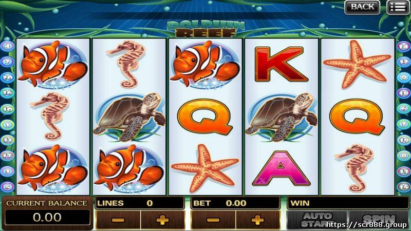 Win Big with Dolphin Reef Slot