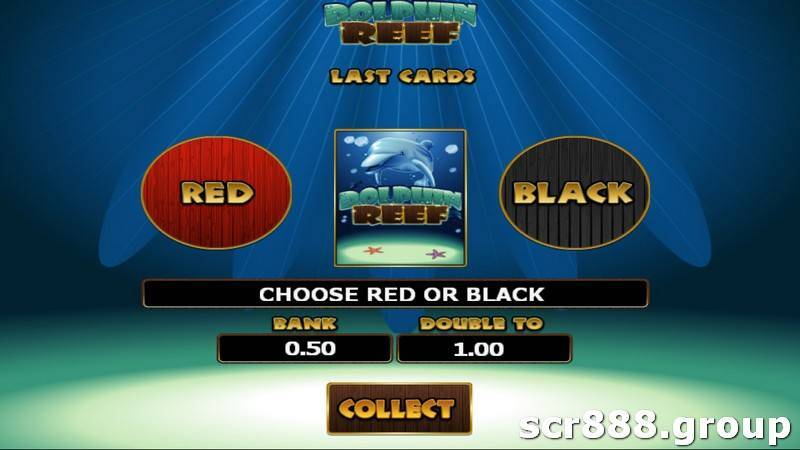 Dolphin Reef Slot