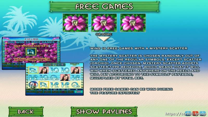 SCR888's Thai Paradise slot image 3